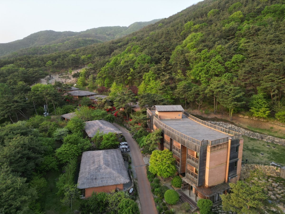 숲속의 돌담 (대구광역시 수성구) 사진