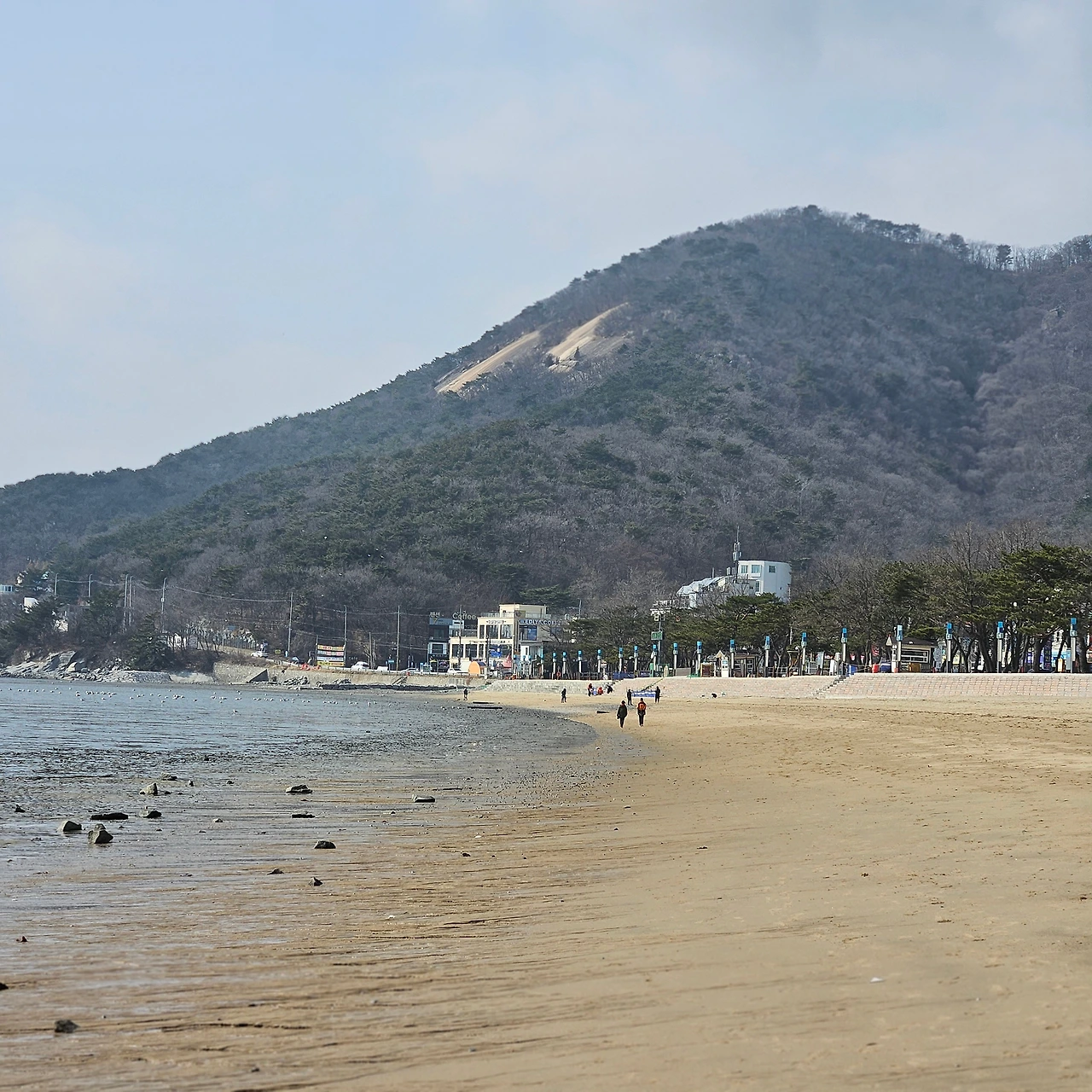 개신나멍 (인천광역시 강화군) 사진