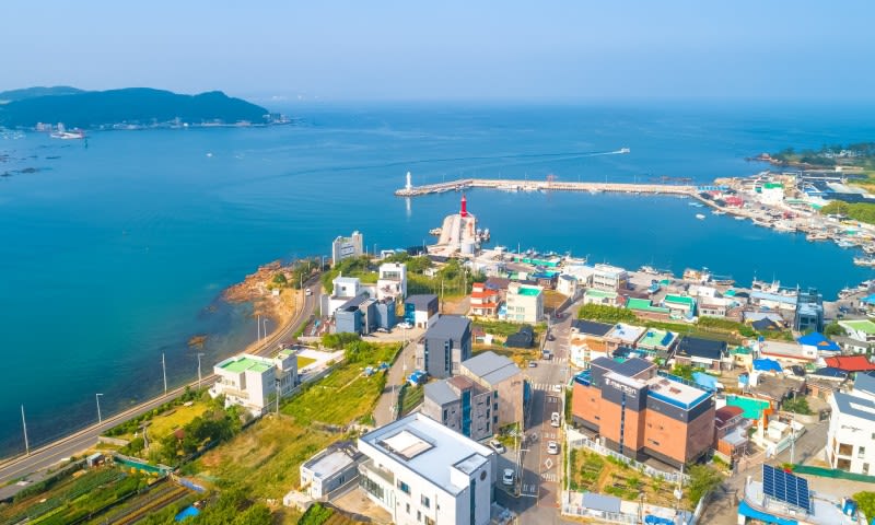 고운학리