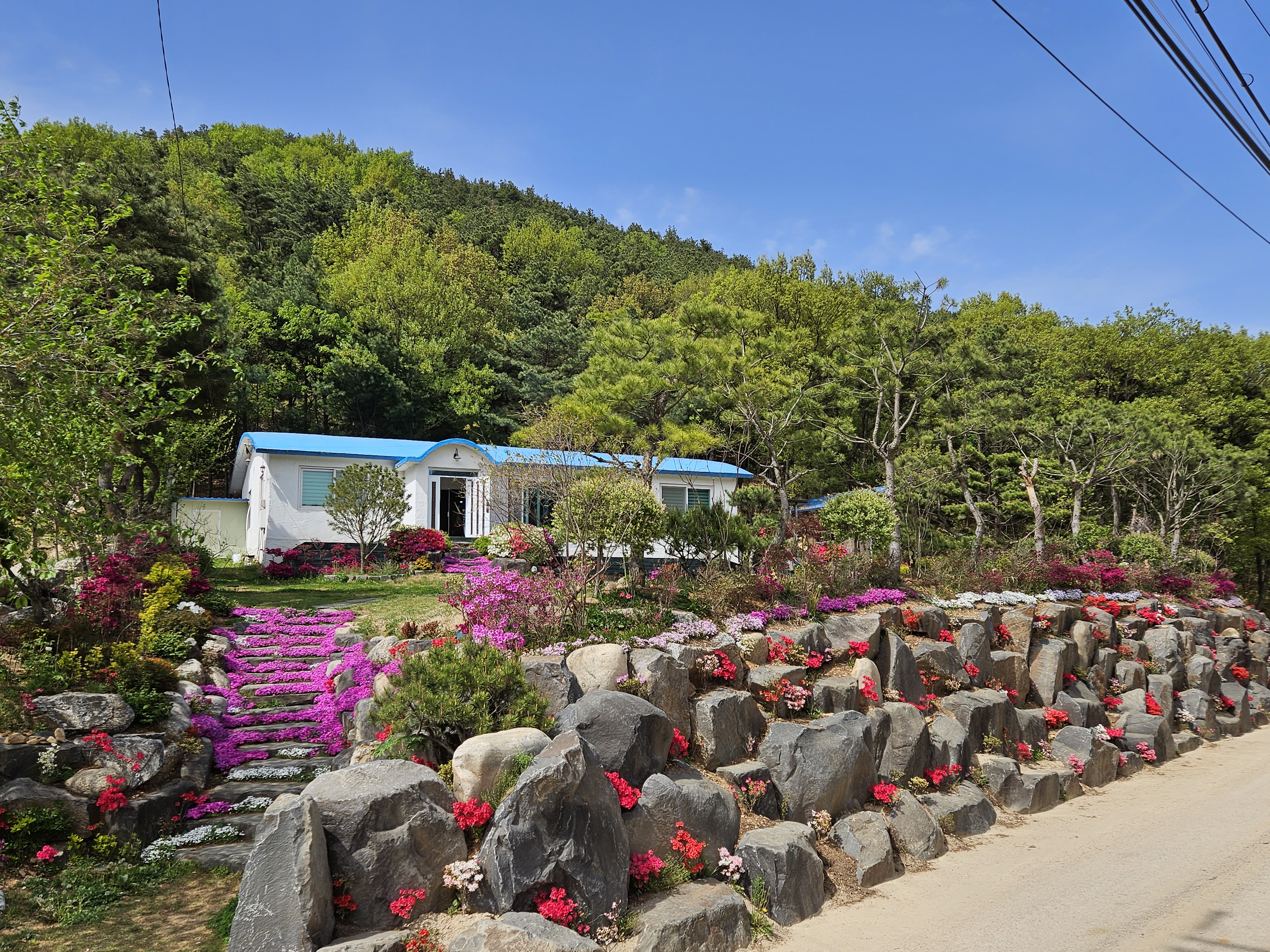 폭포리아펜션 (경기도 용인시) 사진