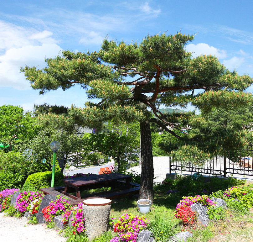 용인하늘이닿은집펜션 (경기도 용인시) 사진