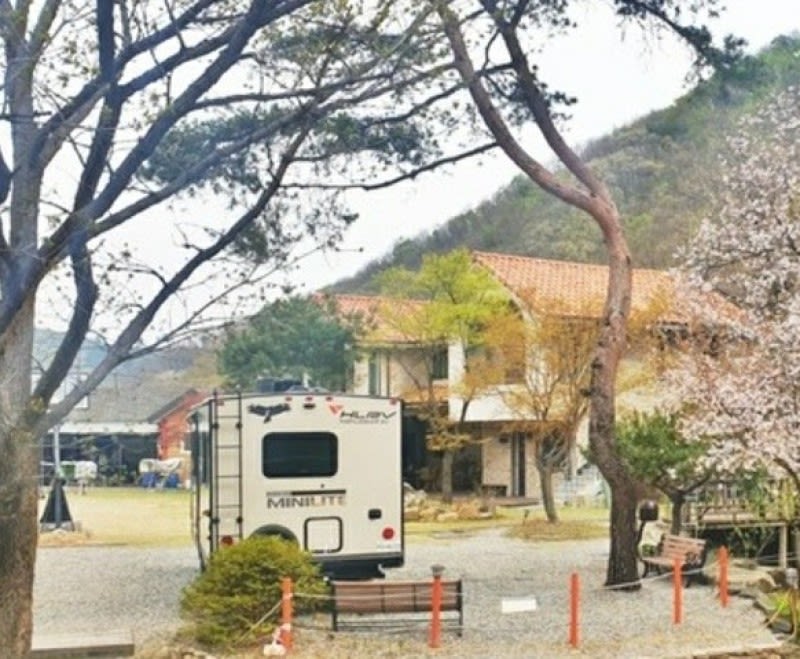 에이스팬션 캬라반 (경기도 용인시) 사진