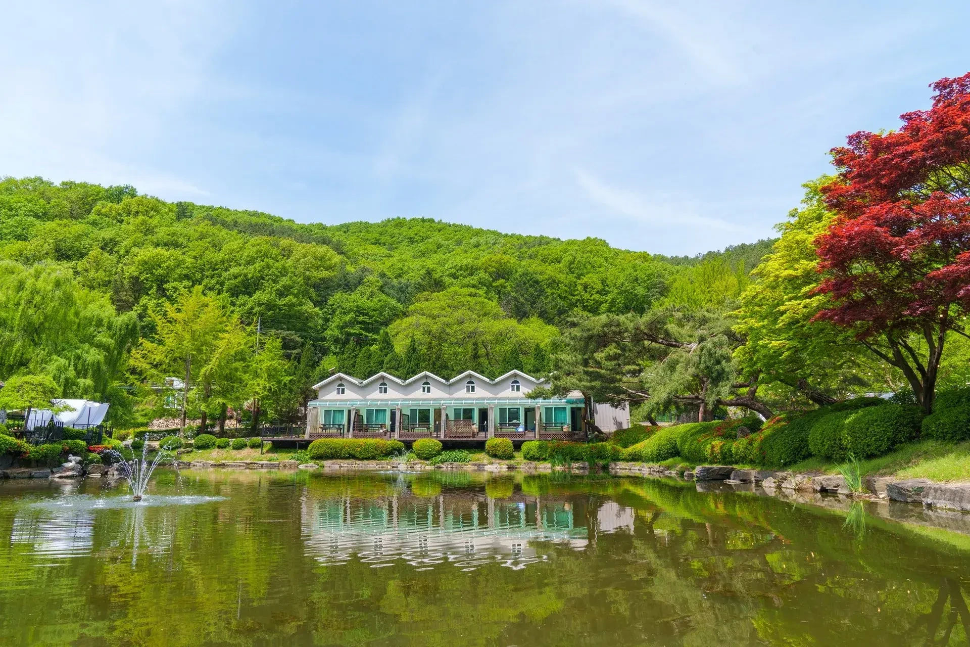 초호 (경기도 파주시) 사진