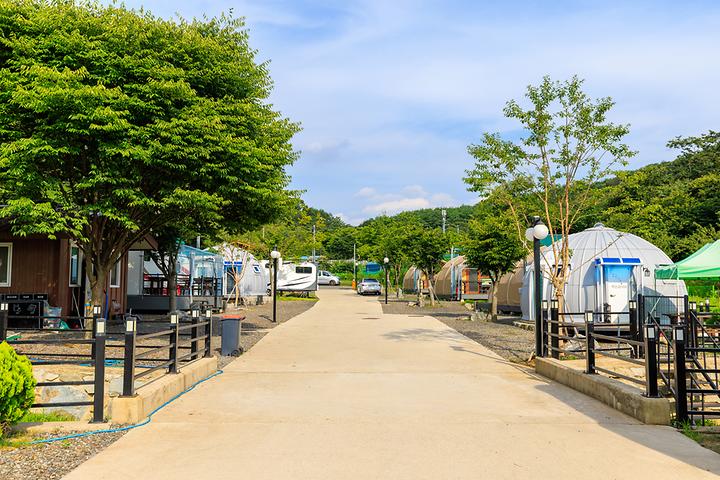 12th forest