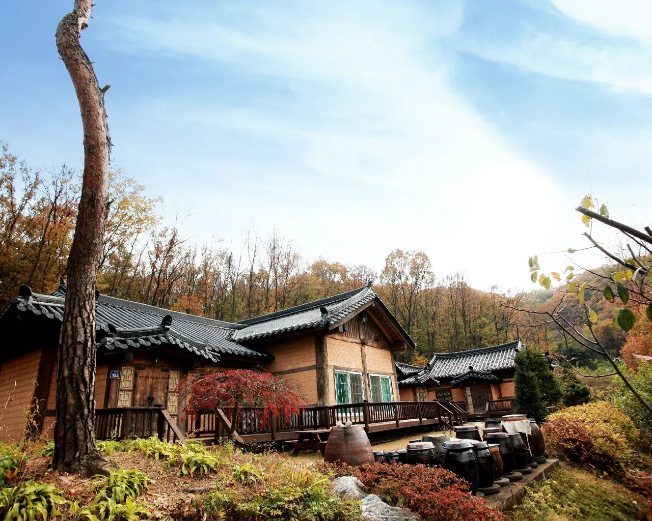 산삼꽃피는마을 (경기도 안성시) 사진