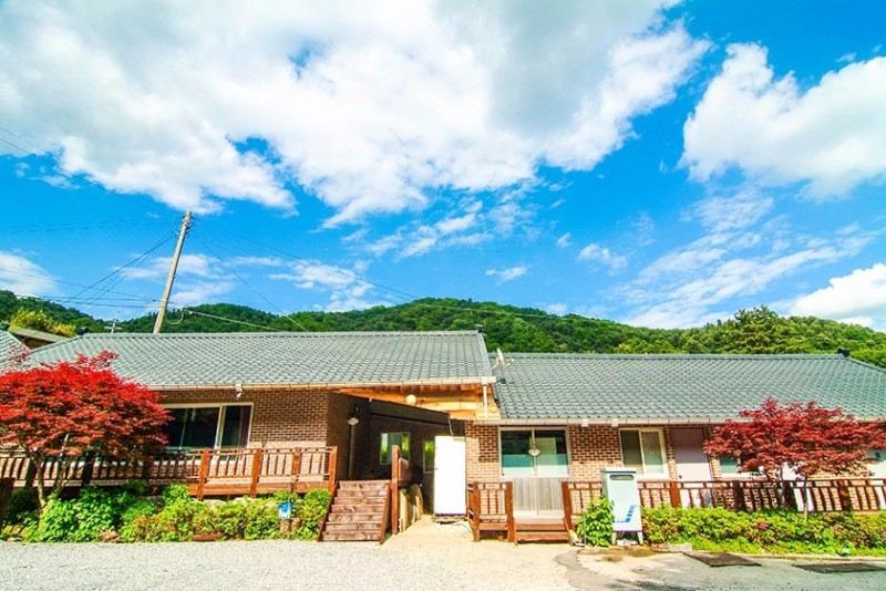 숲으로 가는 길 (경기도 가평군) 사진