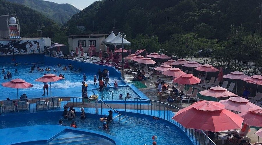 어린왕자의나무별 (경기도 가평군) 사진