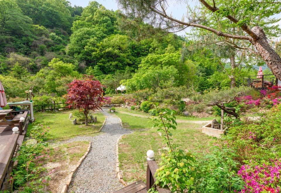 아띠랑스 (경기도 가평군) 사진