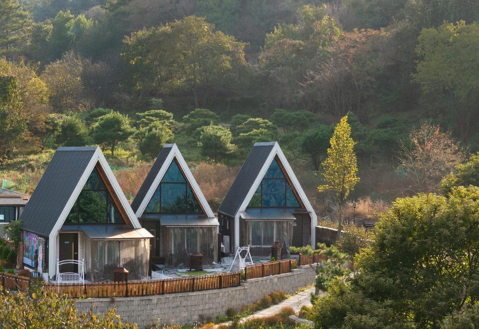 THE 파란