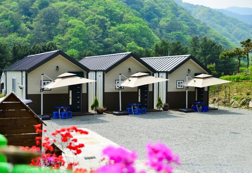 명지산 계곡 스테이 (경기도 가평군) 사진