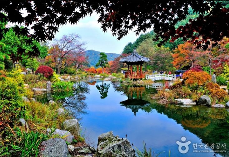 계곡의아침 (경기도 가평군) 사진