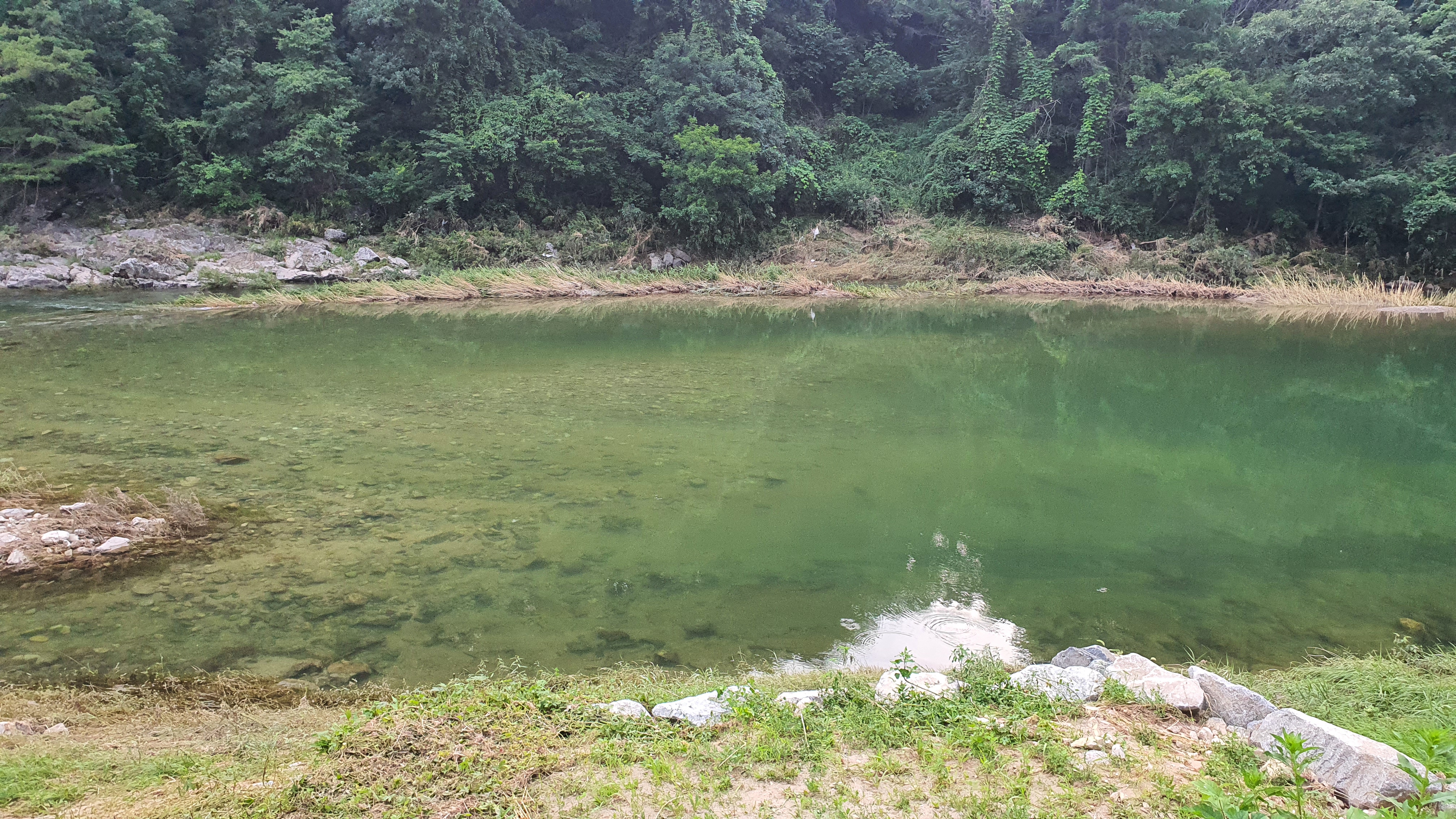 계곡소리펜션 (경기도 가평군) 사진