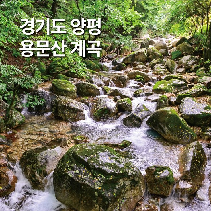 용문산계곡 펜션 (경기도 양평군) 사진