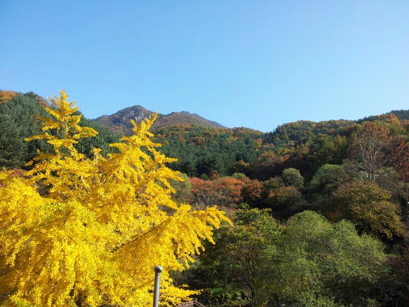 용문산그린펜션 (경기도 양평군) 사진