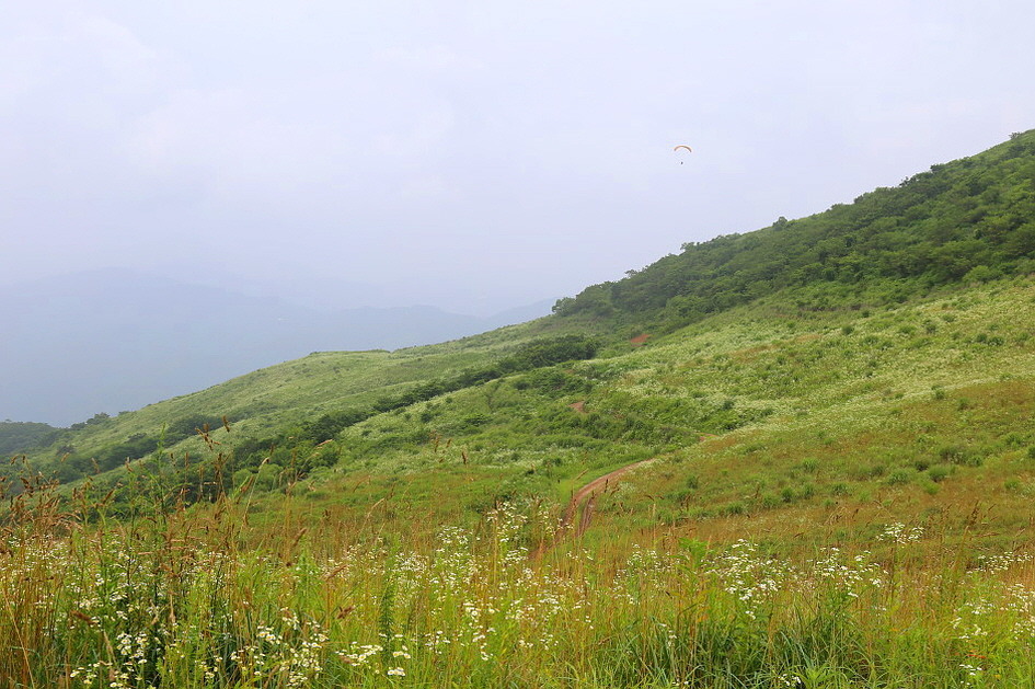 다울 (경기도 양평군) 사진