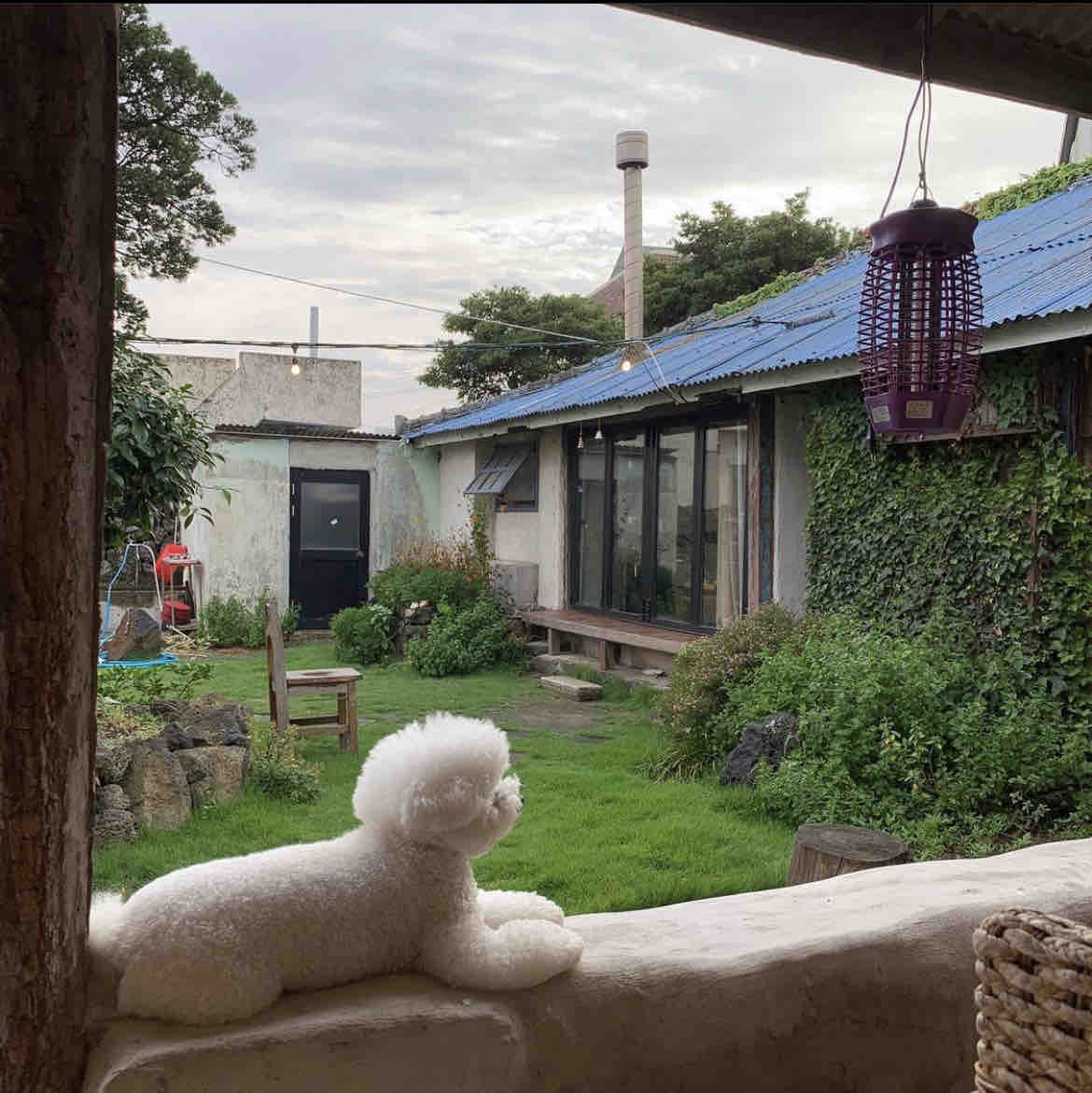 아포레 힐 (경기도 양평군) 사진