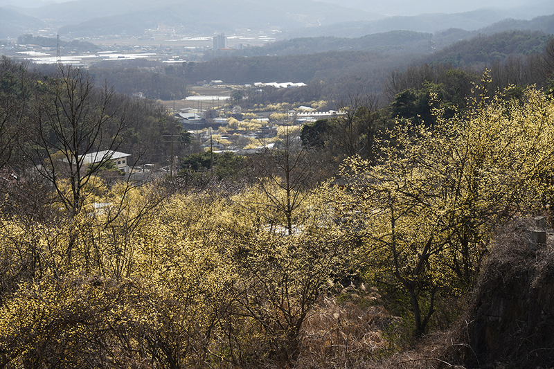산수화 (경기도 양평군) 사진