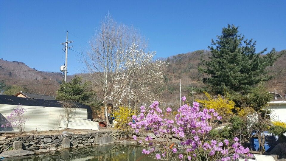 무릉도원 (경기도 양평군) 사진