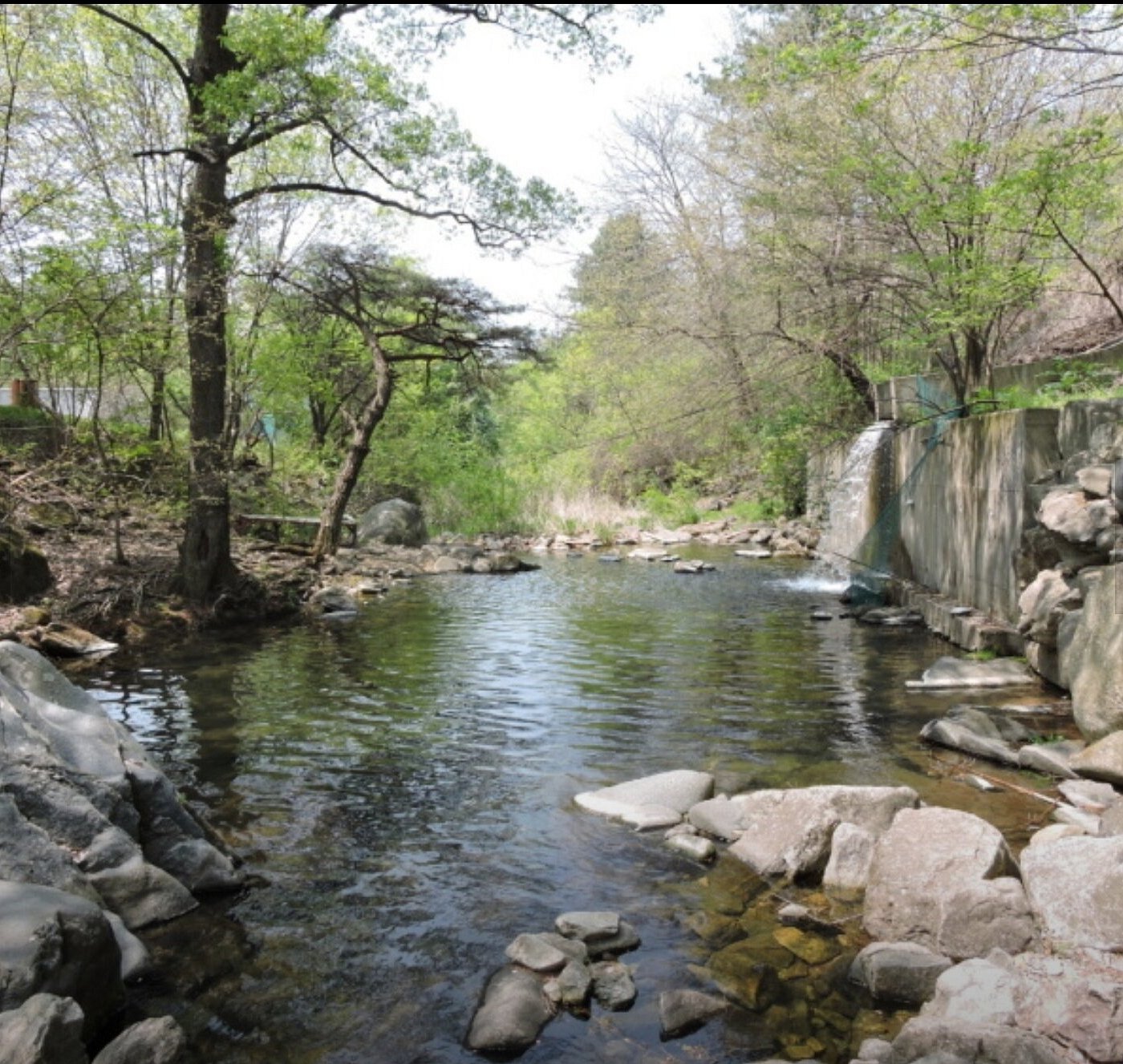 계곡민박 (경기도 양평군) 사진