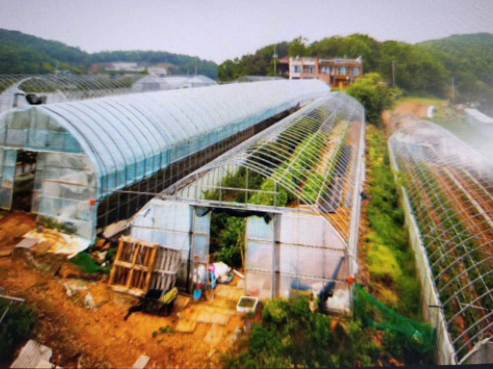 신성민박 (경기도 화성시) 사진