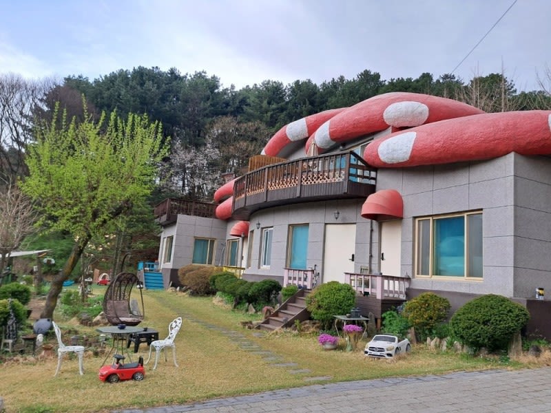 빨강버섯 스머프 (경기도 포천시) 사진