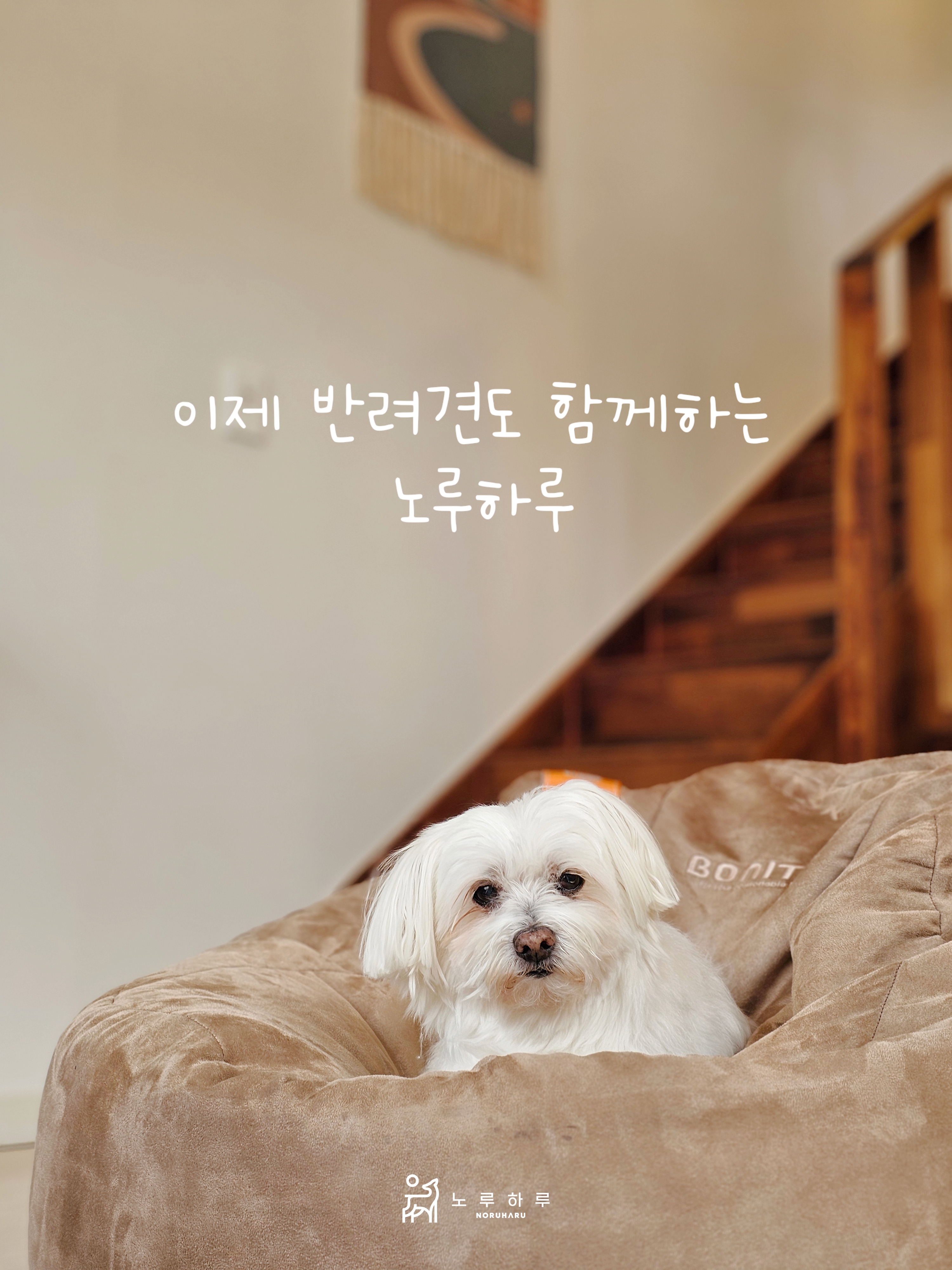 노루목민박 (경기도 여주시) 사진
