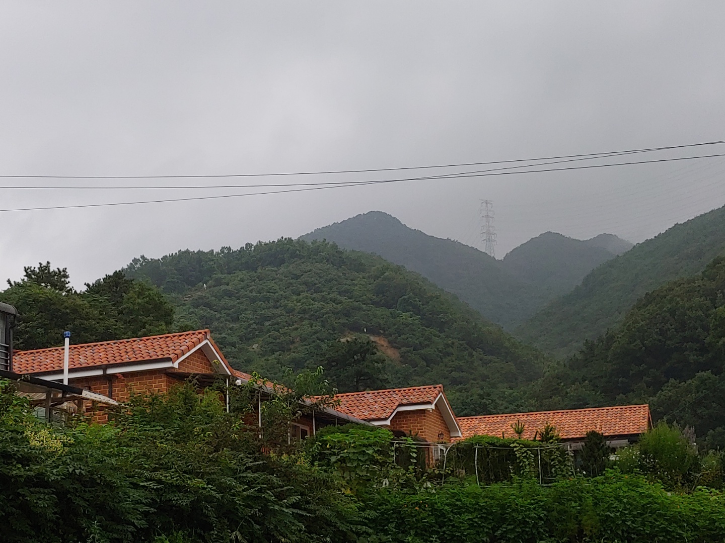산야초황토마을 (충청북도 충주시) 사진