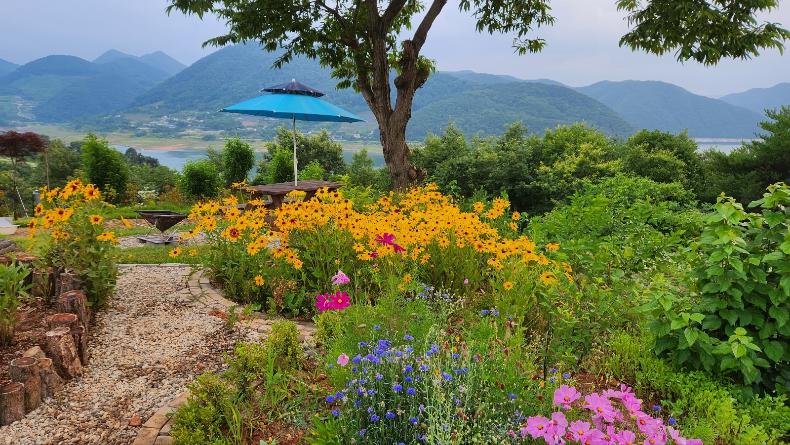 청풍을담다 (충청북도 제천시) 사진