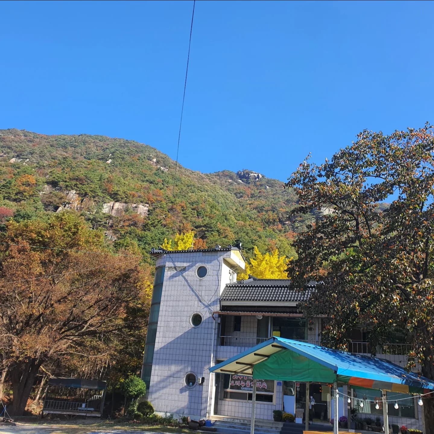 금수산민박 (충청북도 제천시) 사진