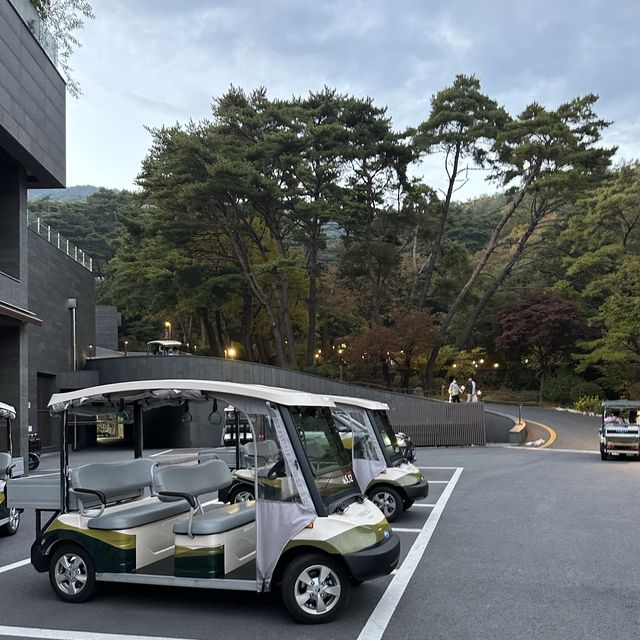 힐링스케치 (충청북도 제천시) 사진