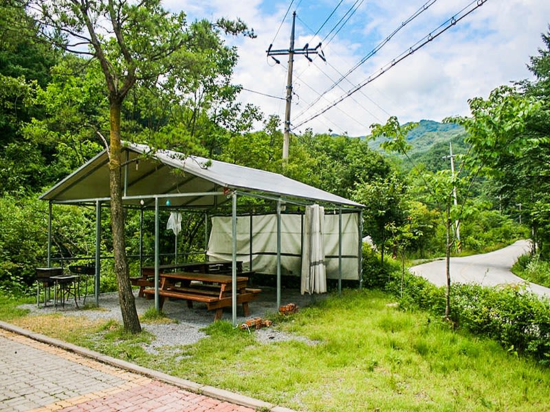 소풍가는날 (충청북도 제천시) 사진