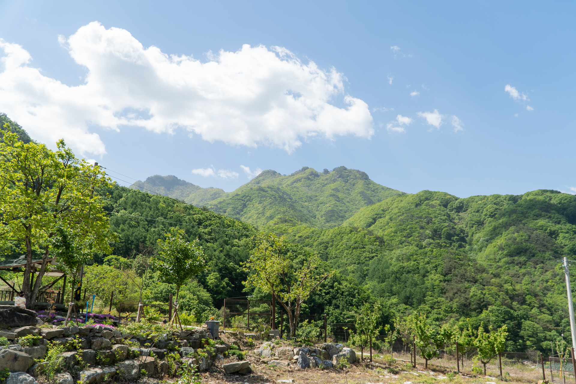 월악산들바람 (충청북도 제천시) 사진