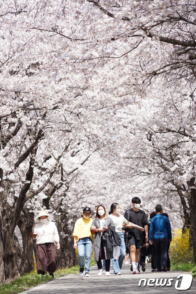 풍경 (충청북도 보은군) 사진