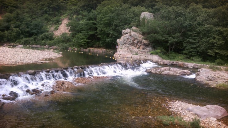 서원산촌민박 (충청북도 보은군) 사진