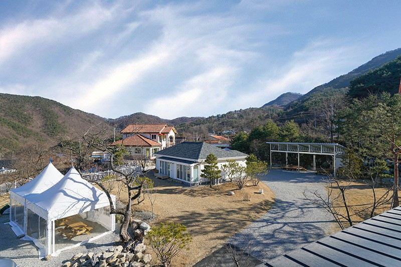 천년의 하루 (충청북도 보은군) 사진