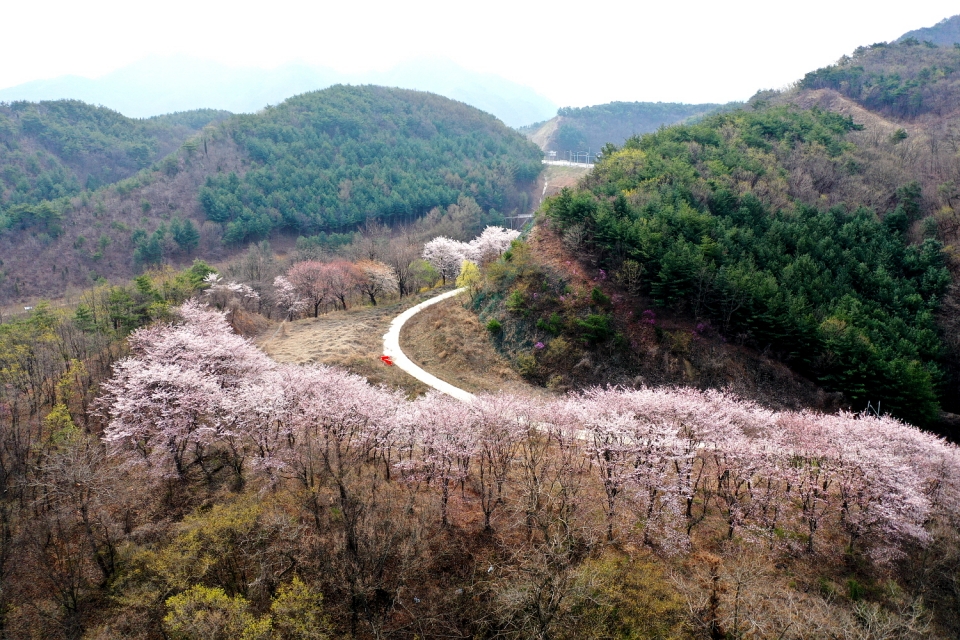 대청호전망좋은집 (충청북도 옥천군) 사진