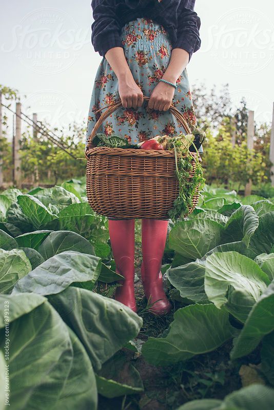 시골정원 (충청북도 영동군) 사진
