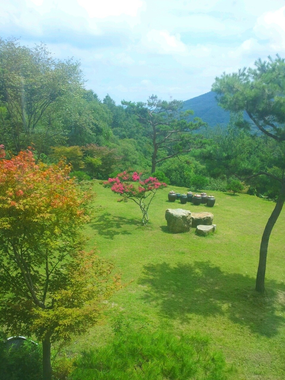 솔과황토 (충청북도 진천군) 사진
