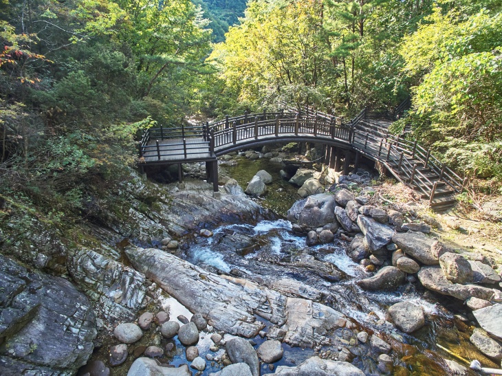 숲이다 (충청북도 단양군) 사진