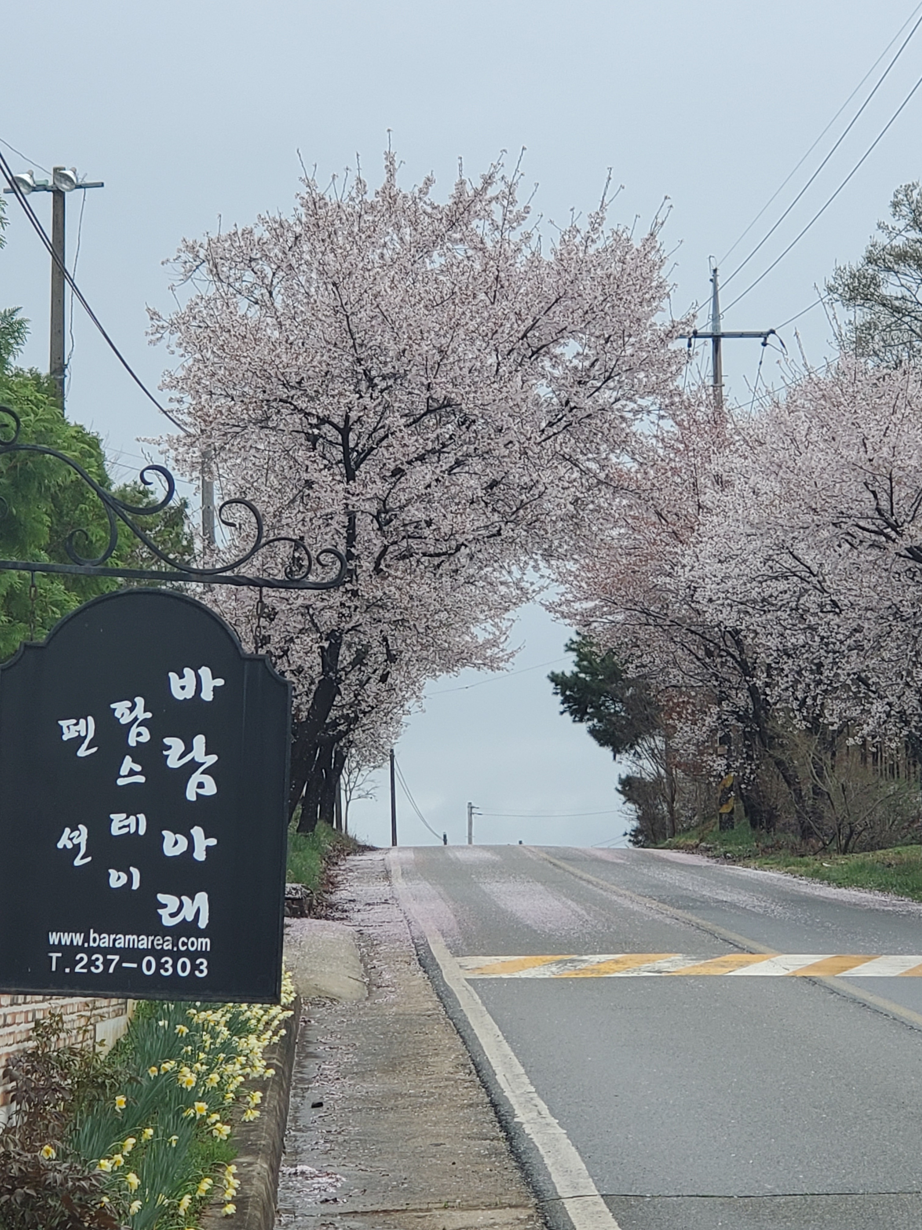 바람아래팜스테이 (충청북도 청주시) 사진