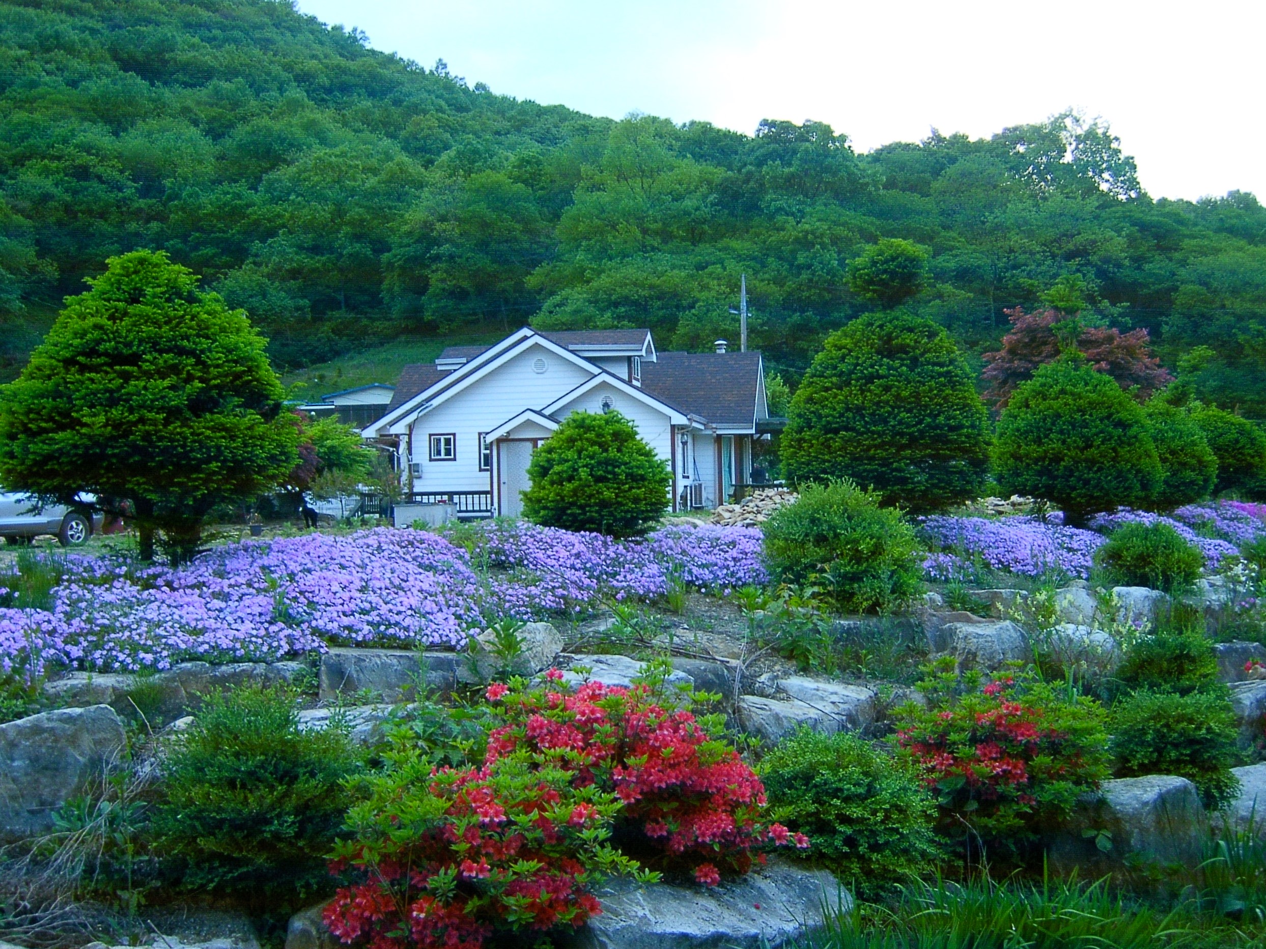 온더우드펜션 (충청남도 공주시) 사진