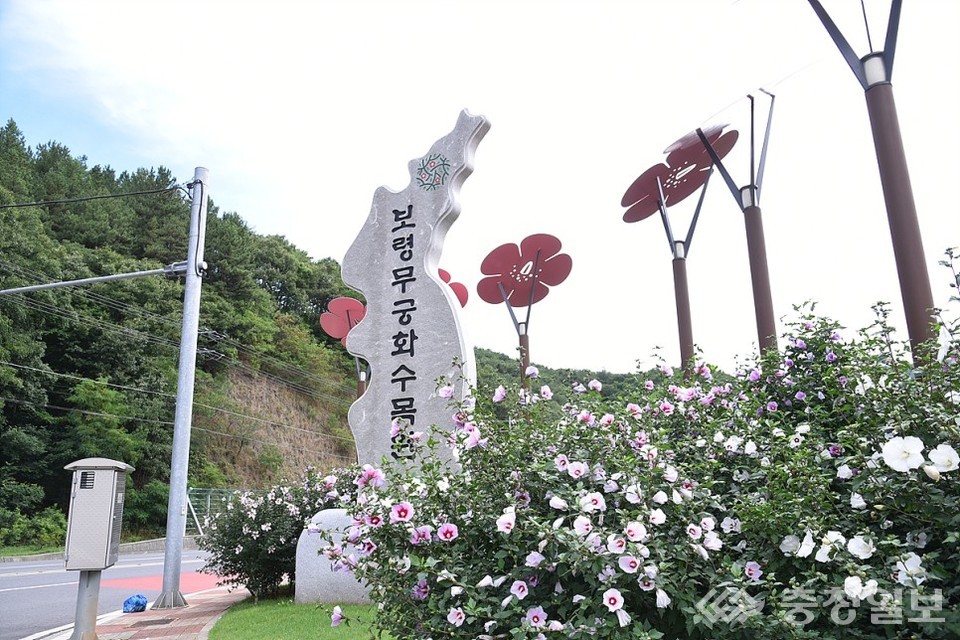 힐링로드stay (충청남도 보령시) 사진