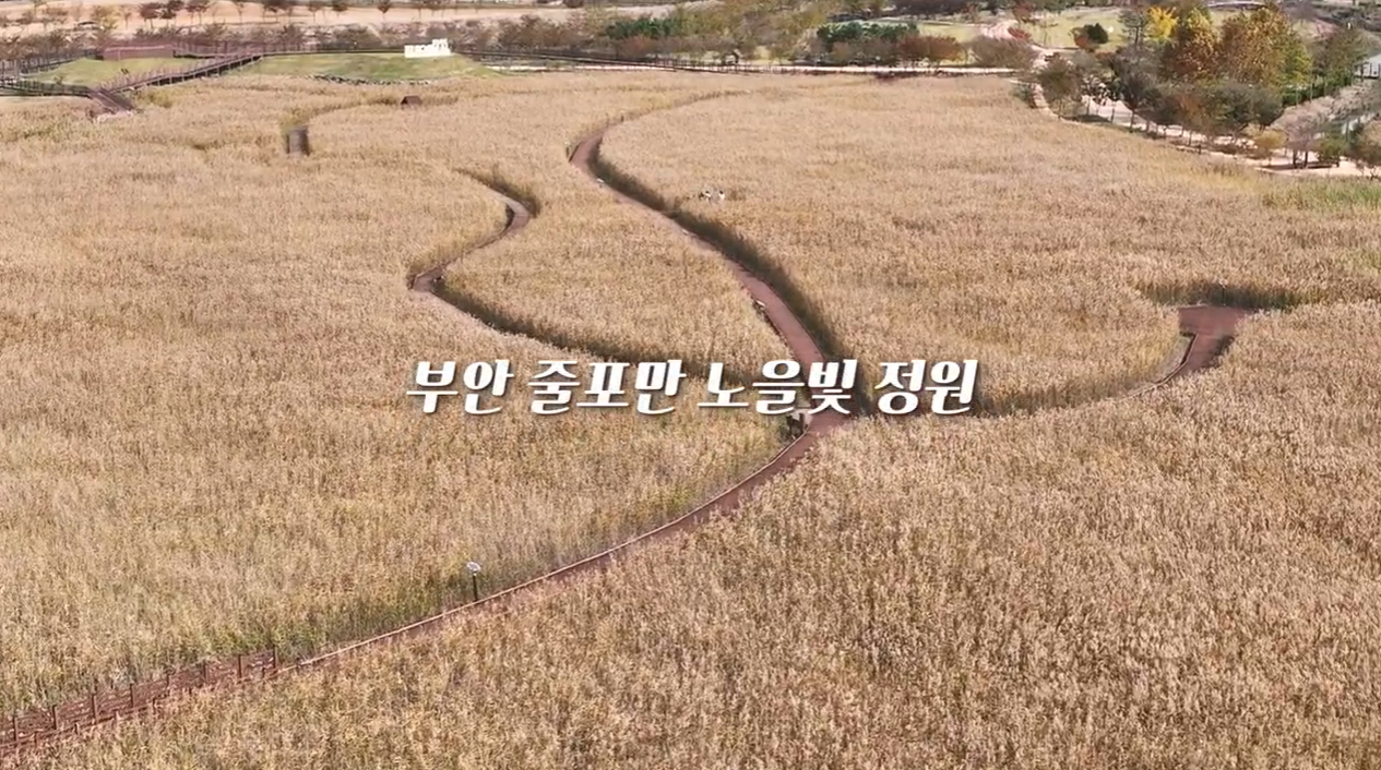 노을빛 정원 (충청남도 서산시) 사진