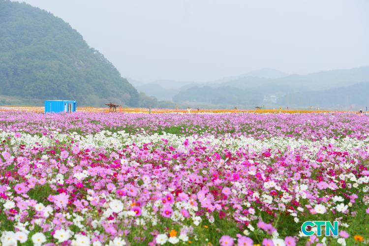구드래한옥민박 (충청남도 부여군) 사진