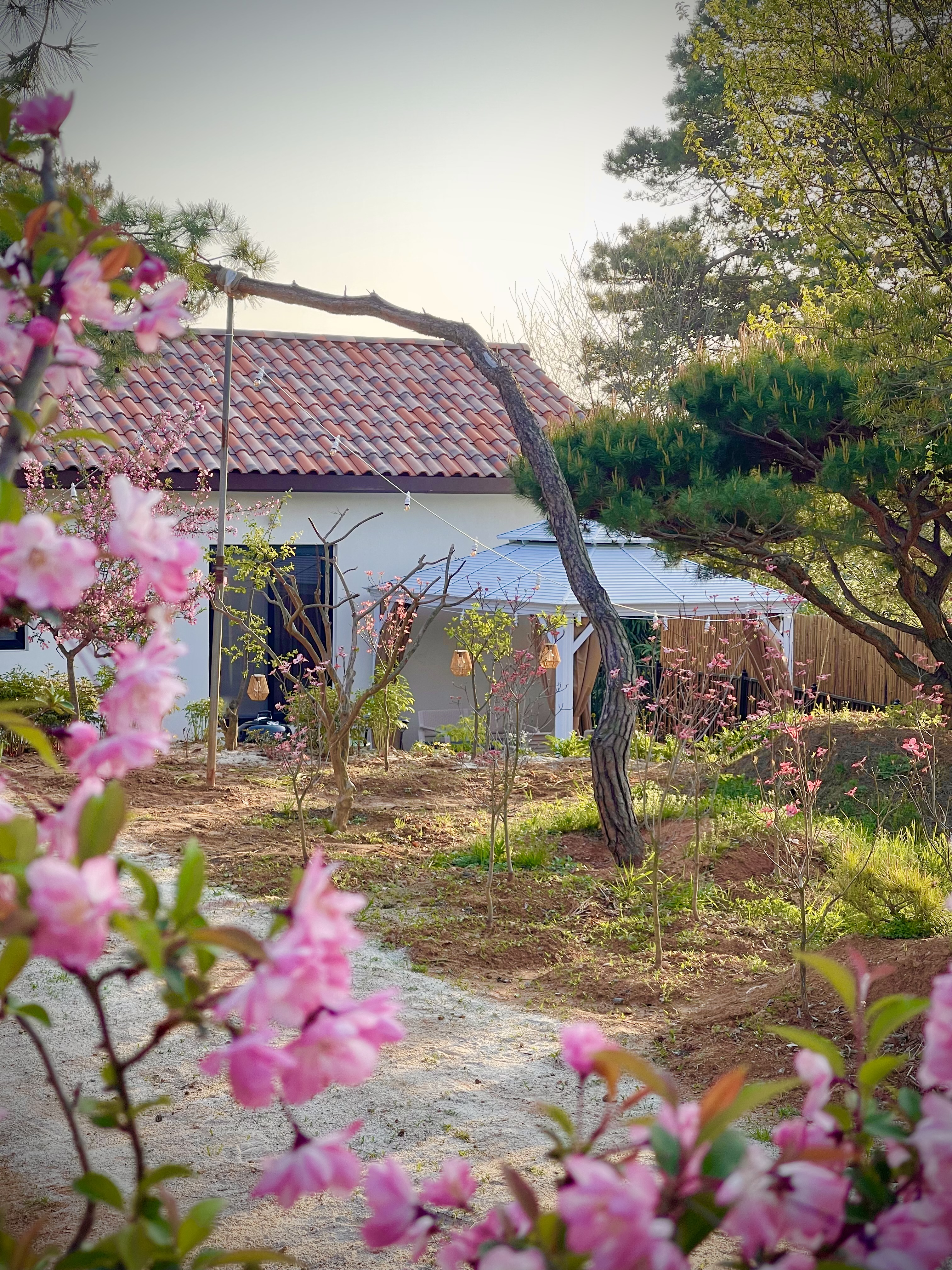 별나무숲 펜션 (충청남도 서천군) 사진