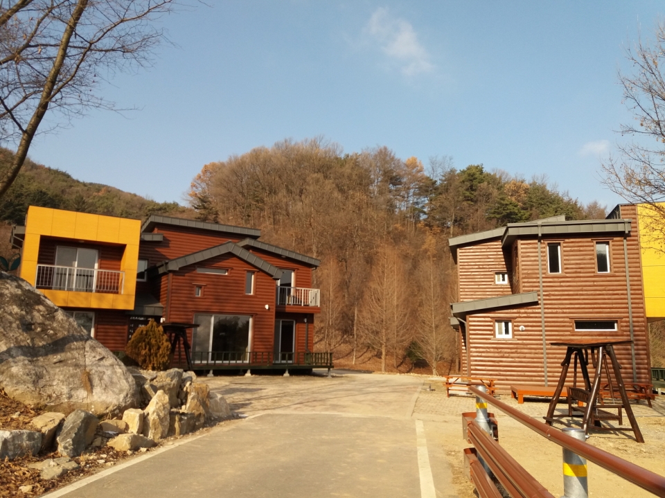 숲속