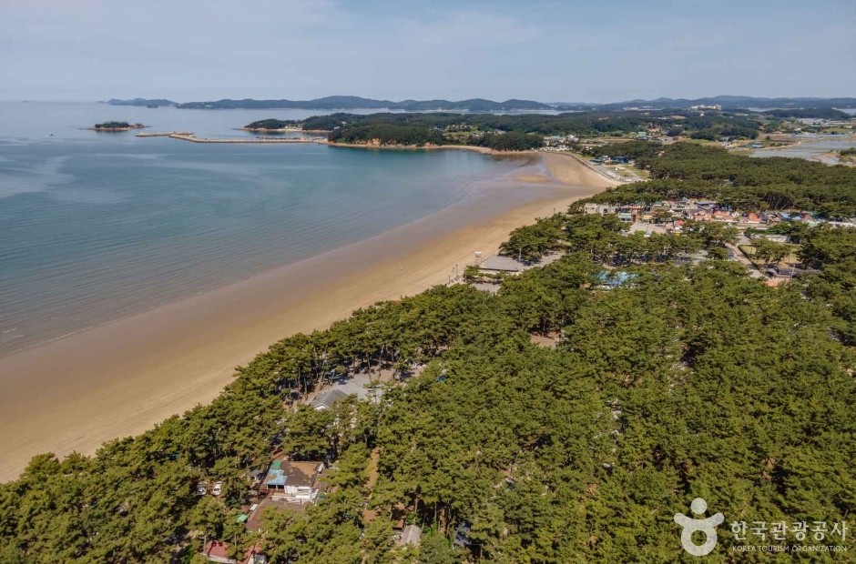 몽산포해변펜션 (충청남도 태안군) 사진
