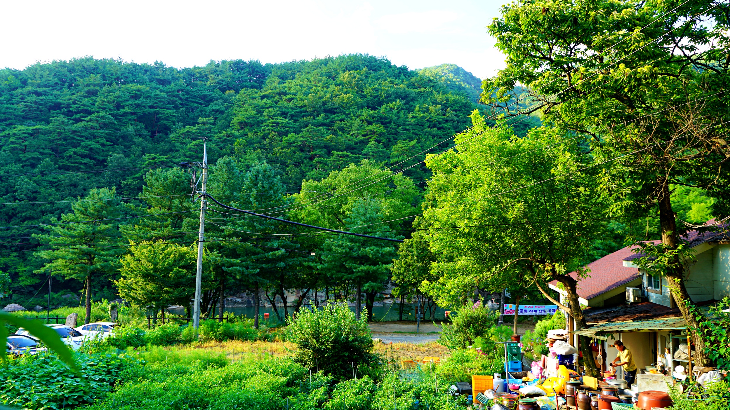 금성민박
