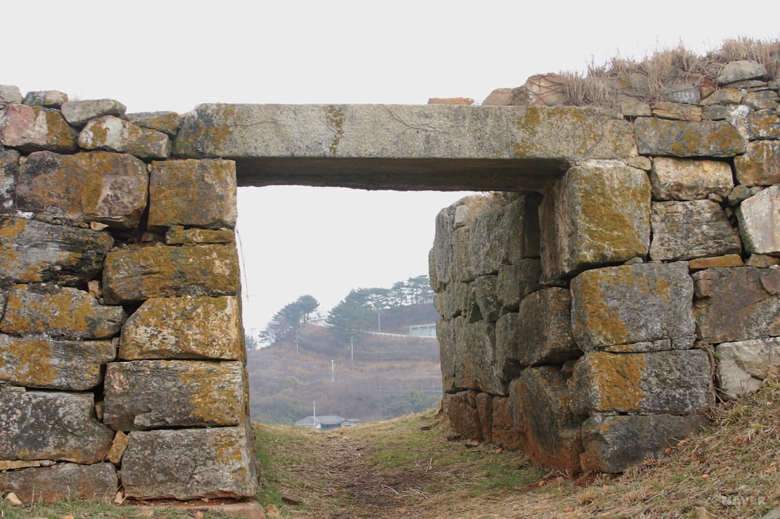 아름다운숲 (충청남도 태안군) 사진