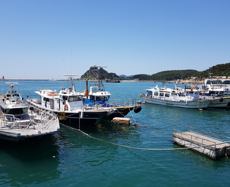 가족민박 (충청남도 태안군) 사진